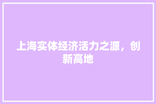 上海实体经济活力之源,创新高地 上海实体经济活力之源,创新高地