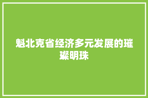 魁北克省经济多元发展的璀璨明珠 魁北克省经济多元发展的璀璨明珠