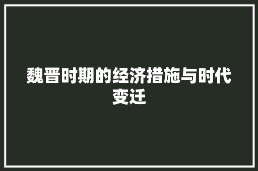 魏晋时期的经济措施与时代变迁 魏晋时期的经济措施与时代变迁