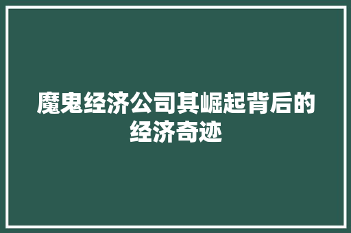 魔鬼经济公司其崛起背后的经济奇迹