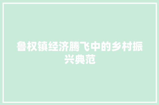 鲁权镇经济腾飞中的乡村振兴典范 鲁权镇经济腾飞中的乡村振兴典范