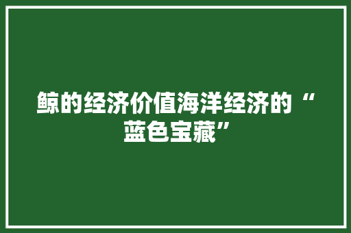 鲸的经济价值海洋经济的“蓝色宝藏” 鲸的经济价值海洋经济的“蓝色宝藏”