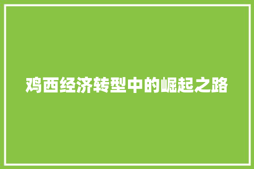 鸡西经济转型中的崛起之路