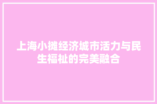 上海小摊经济城市活力与民生福祉的完美融合 上海小摊经济城市活力与民生福祉的完美融合