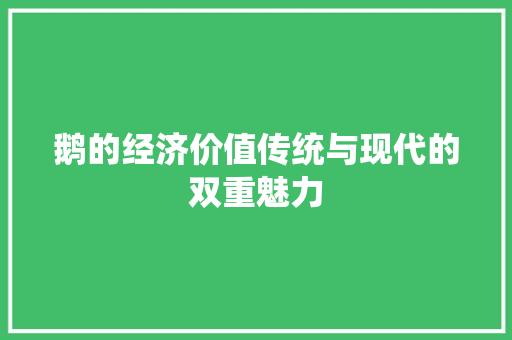 鹅的经济价值传统与现代的双重魅力 鹅的经济价值传统与现代的双重魅力