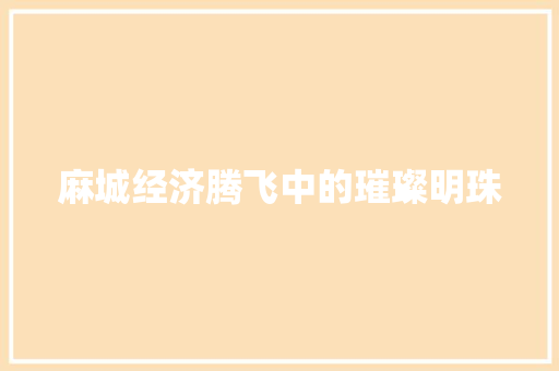 麻城经济腾飞中的璀璨明珠 麻城经济腾飞中的璀璨明珠