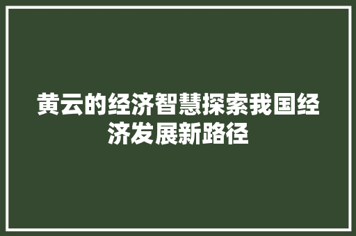 黄云的经济智慧探索我国经济发展新路径 黄云的经济智慧探索我国经济发展新路径
