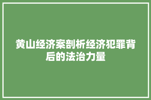 黄山经济案剖析经济犯罪背后的法治力量 黄山经济案剖析经济犯罪背后的法治力量