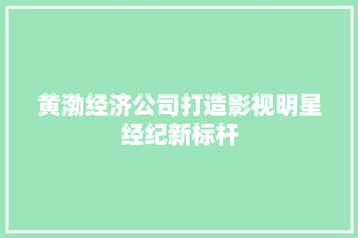 黄渤经济公司打造影视明星经纪新标杆 黄渤经济公司打造影视明星经纪新标杆