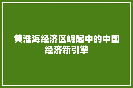 黄淮海经济区崛起中的中国经济新引擎 黄淮海经济区崛起中的中国经济新引擎