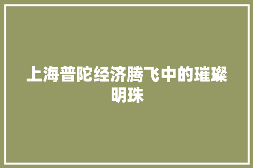 上海普陀经济腾飞中的璀璨明珠 上海普陀经济腾飞中的璀璨明珠