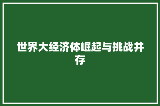 世界大经济体崛起与挑战并存