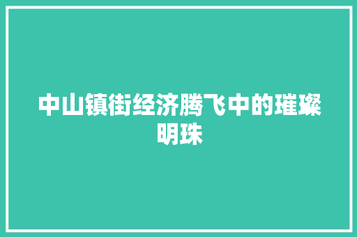 中山镇街经济腾飞中的璀璨明珠 中山镇街经济腾飞中的璀璨明珠