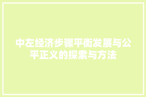 中左经济步骤平衡发展与公平正义的探索与方法 中左经济步骤平衡发展与公平正义的探索与方法