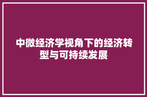 中微经济学视角下的经济转型与可持续发展 中微经济学视角下的经济转型与可持续发展