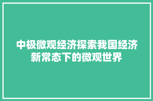 中极微观经济探索我国经济新常态下的微观世界 中极微观经济探索我国经济新常态下的微观世界