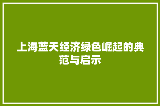 上海蓝天经济绿色崛起的典范与启示 上海蓝天经济绿色崛起的典范与启示