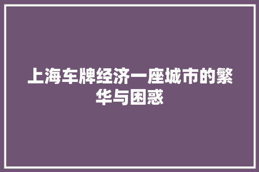 上海车牌经济一座城市的繁华与困惑 上海车牌经济一座城市的繁华与困惑