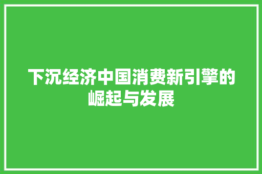 下沉经济中国消费新引擎的崛起与发展 下沉经济中国消费新引擎的崛起与发展