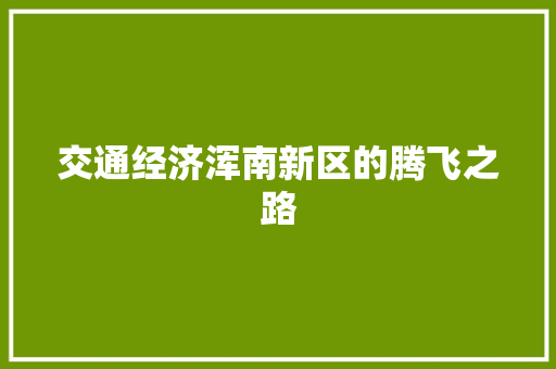交通经济浑南新区的腾飞之路 交通经济浑南新区的腾飞之路