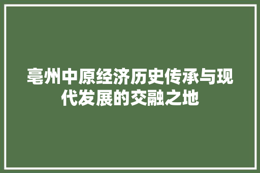 亳州中原经济历史传承与现代发展的交融之地 亳州中原经济历史传承与现代发展的交融之地