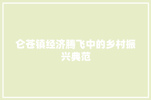 仑苍镇经济腾飞中的乡村振兴典范