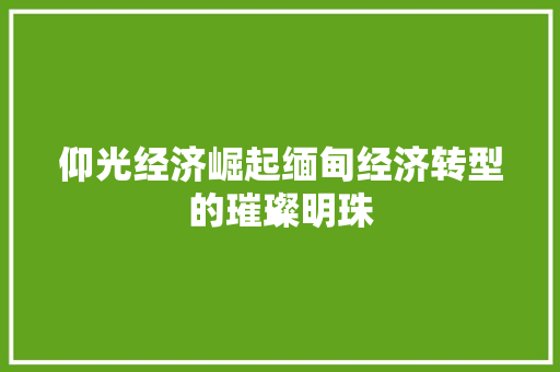 仰光经济崛起缅甸经济转型的璀璨明珠 仰光经济崛起缅甸经济转型的璀璨明珠