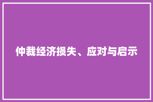 仲裁经济损失、应对与启示