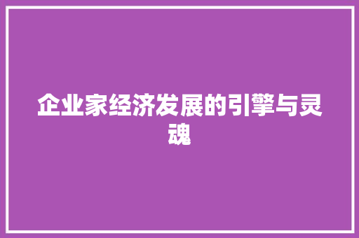 企业家经济发展的引擎与灵魂