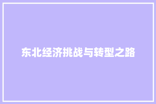 东北经济挑战与转型之路 东北经济挑战与转型之路