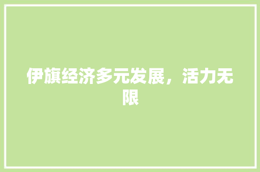 伊旗经济多元发展,活力无限 伊旗经济多元发展,活力无限