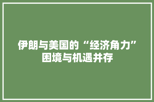 伊朗与美国的“经济角力”困境与机遇并存 伊朗与美国的“经济角力”困境与机遇并存