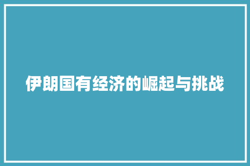 伊朗国有经济的崛起与挑战 伊朗国有经济的崛起与挑战