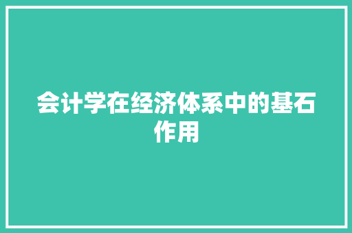 会计学在经济体系中的基石作用 会计学在经济体系中的基石作用