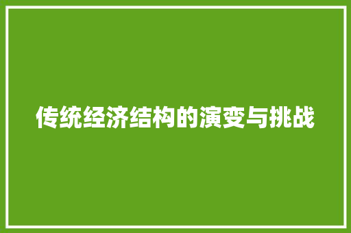 传统经济结构的演变与挑战 传统经济结构的演变与挑战