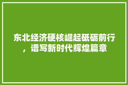 东北经济硬核崛起砥砺前行,谱写新时代辉煌篇章 东北经济硬核崛起砥砺前行,谱写新时代辉煌篇章