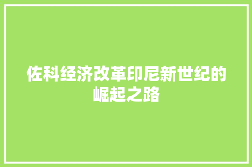 佐科经济改革印尼新世纪的崛起之路 佐科经济改革印尼新世纪的崛起之路