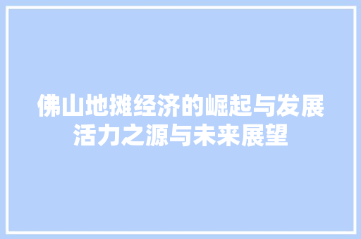 佛山地摊经济的崛起与发展活力之源与未来展望