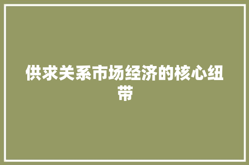 供求关系市场经济的核心纽带 供求关系市场经济的核心纽带