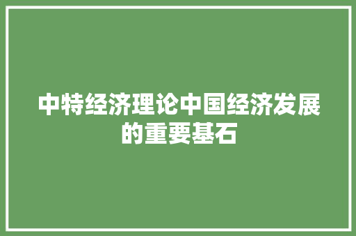 中特经济理论中国经济发展的重要基石 中特经济理论中国经济发展的重要基石