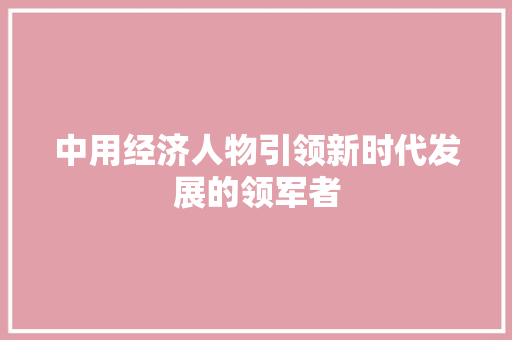 中用经济人物引领新时代发展的领军者