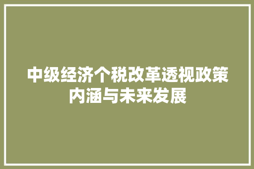中级经济个税改革透视政策内涵与未来发展 中级经济个税改革透视政策内涵与未来发展