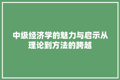 中级经济学的魅力与启示从理论到方法的跨越 中级经济学的魅力与启示从理论到方法的跨越