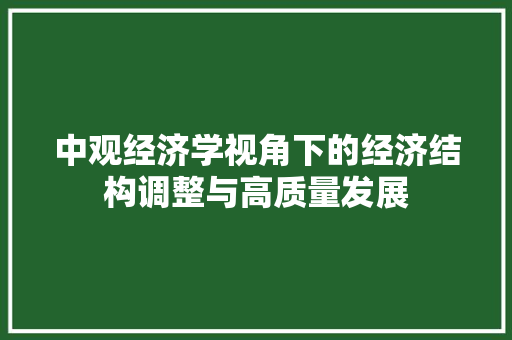 中观经济学视角下的经济结构调整与高质量发展 中观经济学视角下的经济结构调整与高质量发展