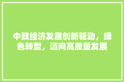 中豉经济发展创新驱动,绿色转型,迈向高质量发展 中豉经济发展创新驱动,绿色转型,迈向高质量发展