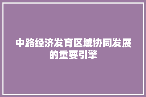 中路经济发育区域协同发展的重要引擎 中路经济发育区域协同发展的重要引擎