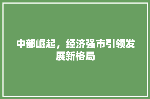 中部崛起，经济强市引领发展新格局