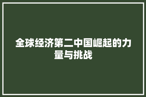 全球经济第二中国崛起的力量与挑战 全球经济第二中国崛起的力量与挑战