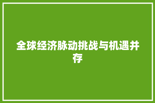 全球经济脉动挑战与机遇并存