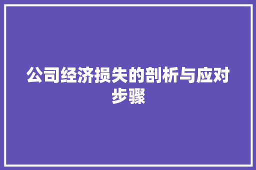 公司经济损失的剖析与应对步骤 公司经济损失的剖析与应对步骤